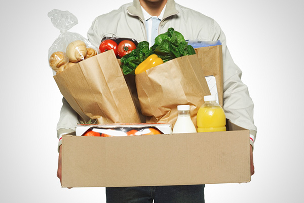 grocery delivery business plan