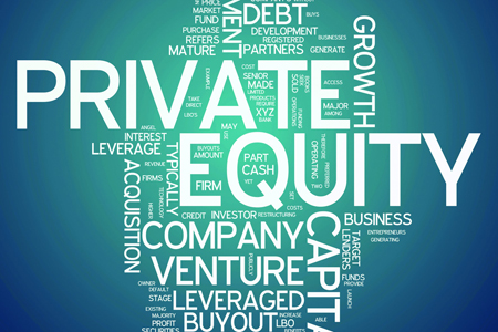 private equity business plan